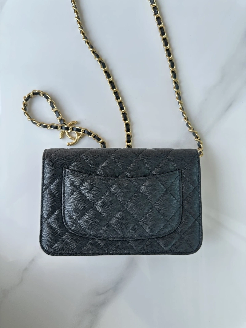 Chanel Satchel Bags 4016A-0166