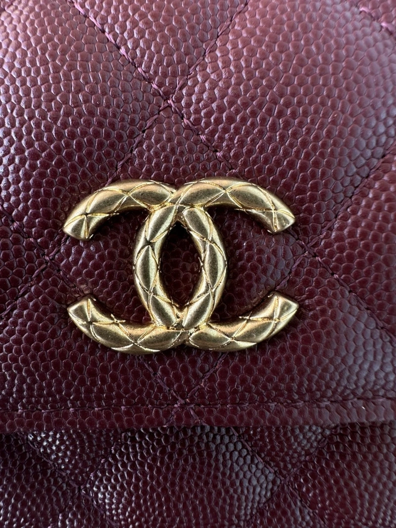 Chanel Satchel Bags 4016A-0171