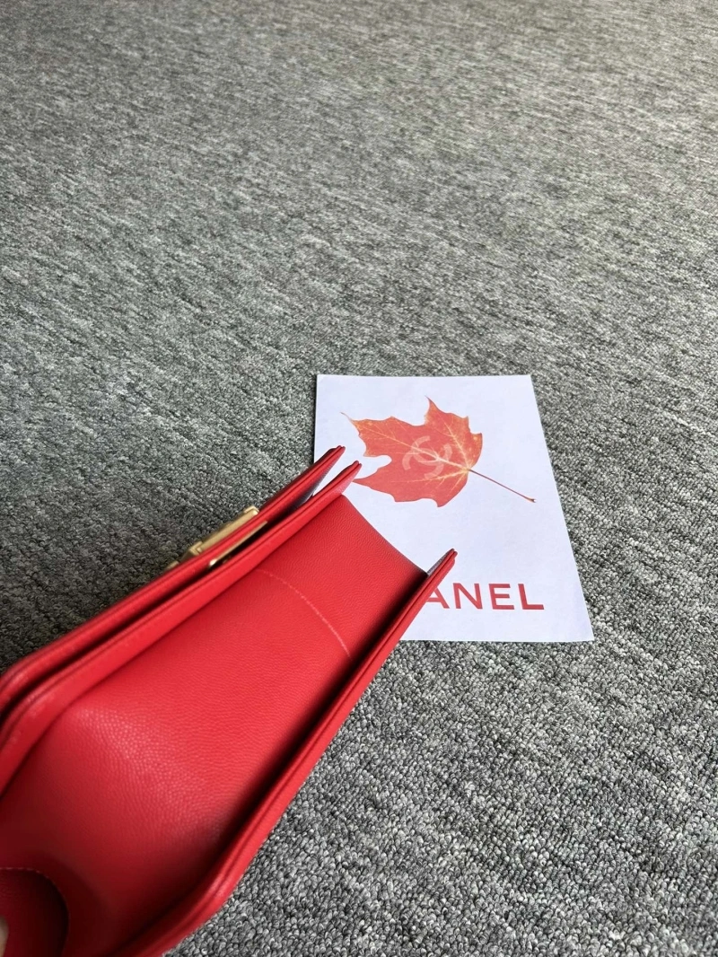 Chanel Leboy Series Bags 4016A-0586