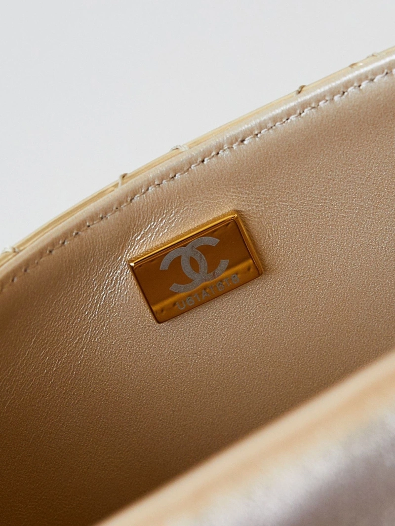 Chanel 19 Bags 4016A-0654