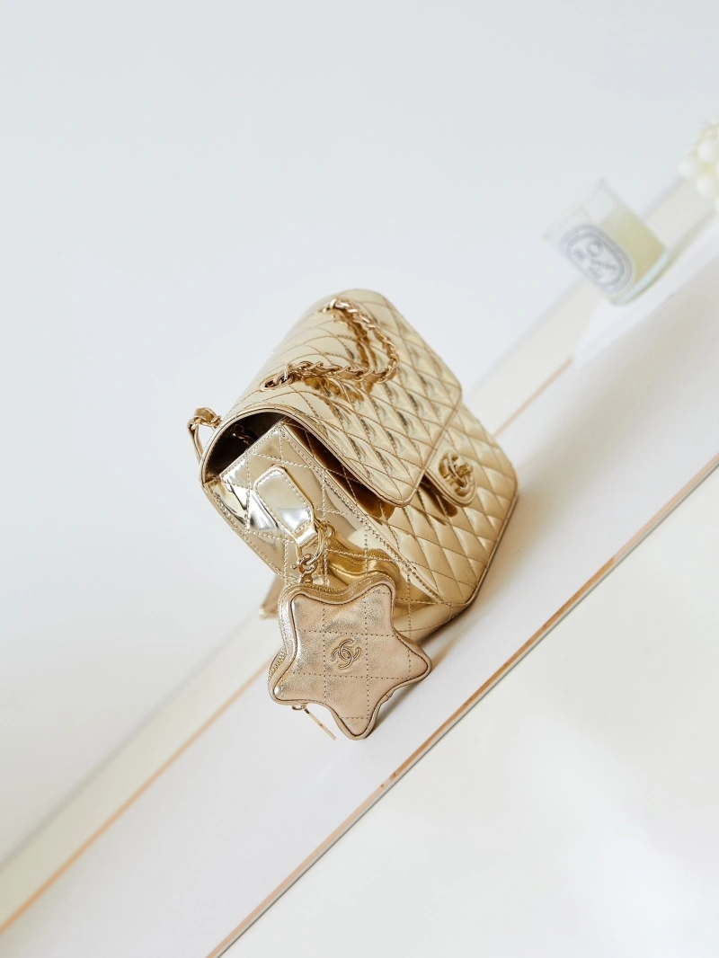 Chanel 19 Bags 4016A-0655