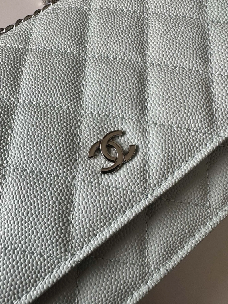 Chanel Satchel Bags 4016A-0660