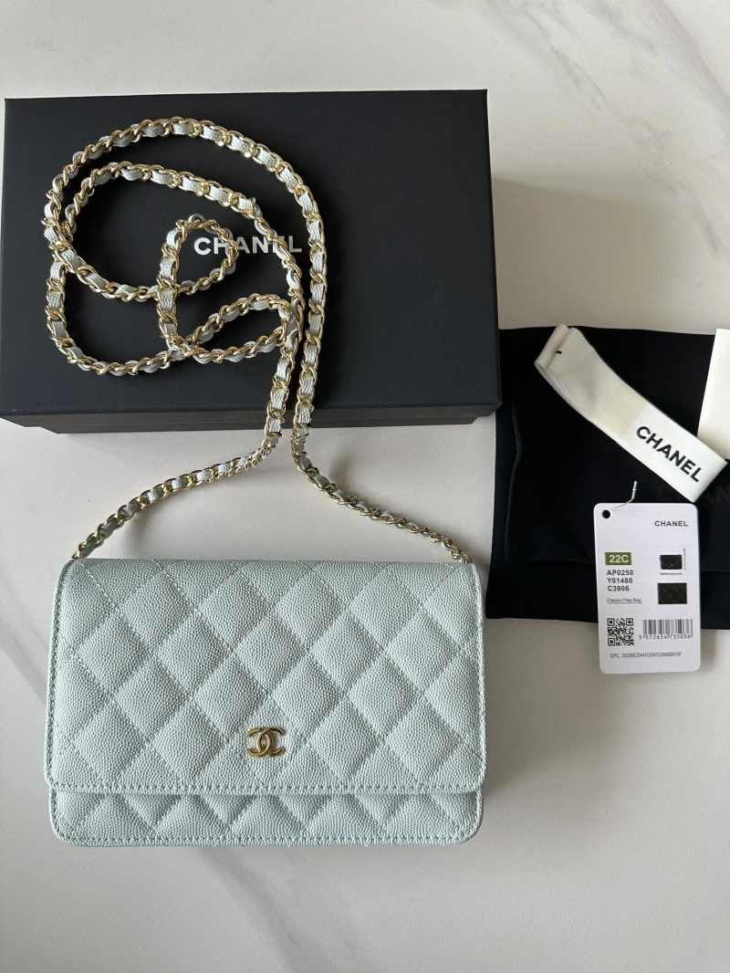 Chanel Satchel Bags 4016A-0661