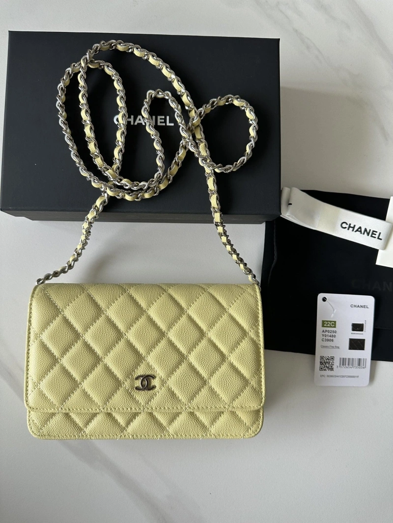 Chanel Satchel Bags 4016A-0662