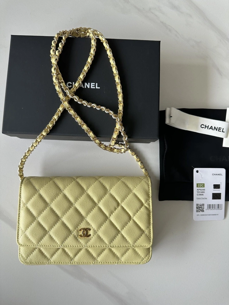 Chanel Satchel Bags 4016A-0663