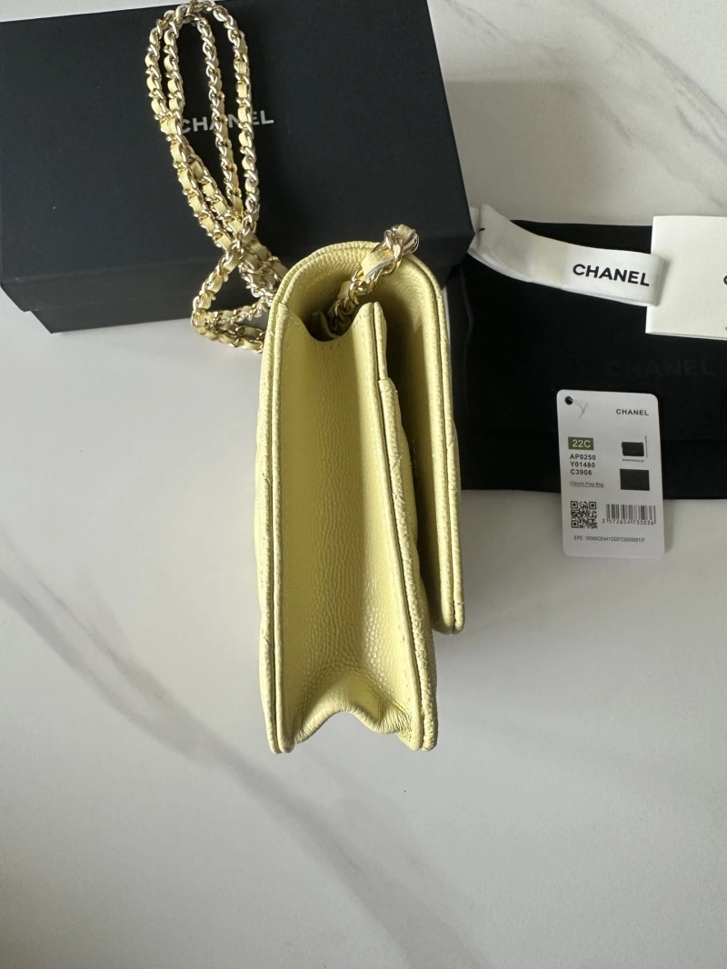 Chanel Satchel Bags 4016A-0663