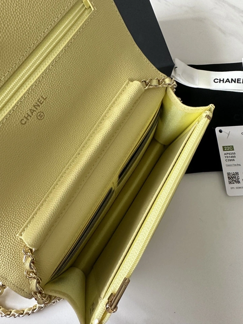 Chanel Satchel Bags 4016A-0663