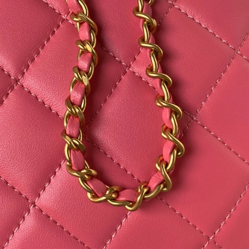 Chanel Satchel Bags 4016A-0667