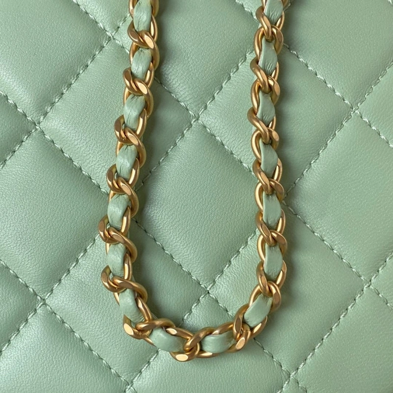 Chanel Satchel Bags 4016A-0668