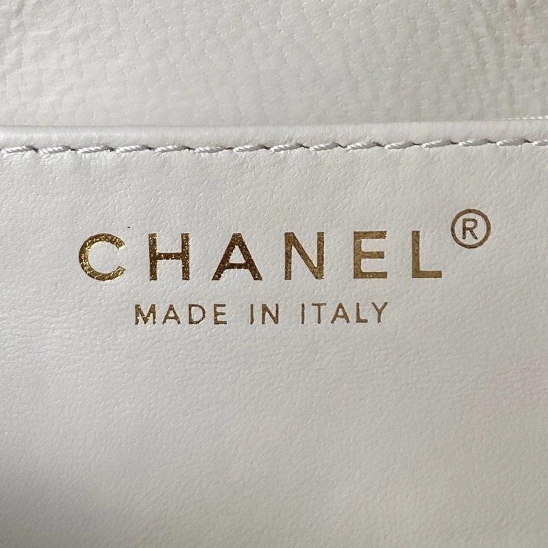 Chanel Satchel Bags 4016A-0673