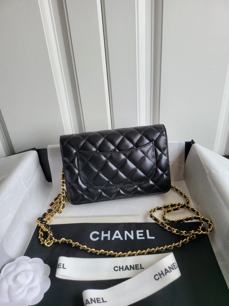 Chanel Satchel Bags 4017-0048