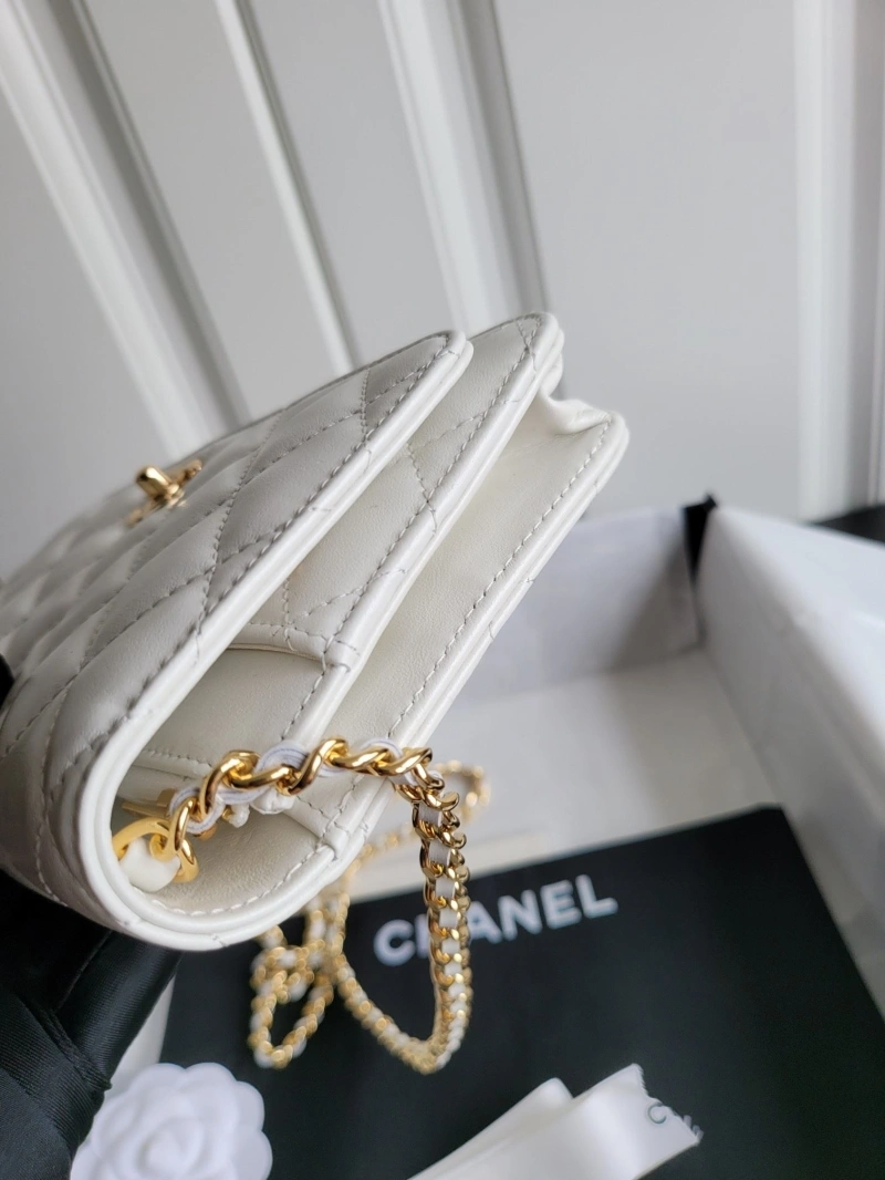 Chanel Satchel Bags 4017-0049