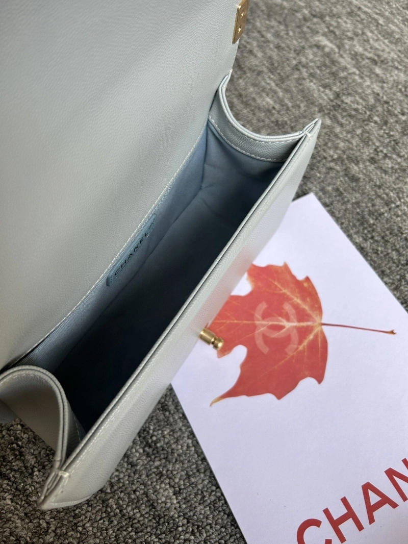 Chanel Leboy Series Bags 4017-0094