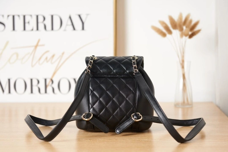 Chanel Backpacks 4017-0373