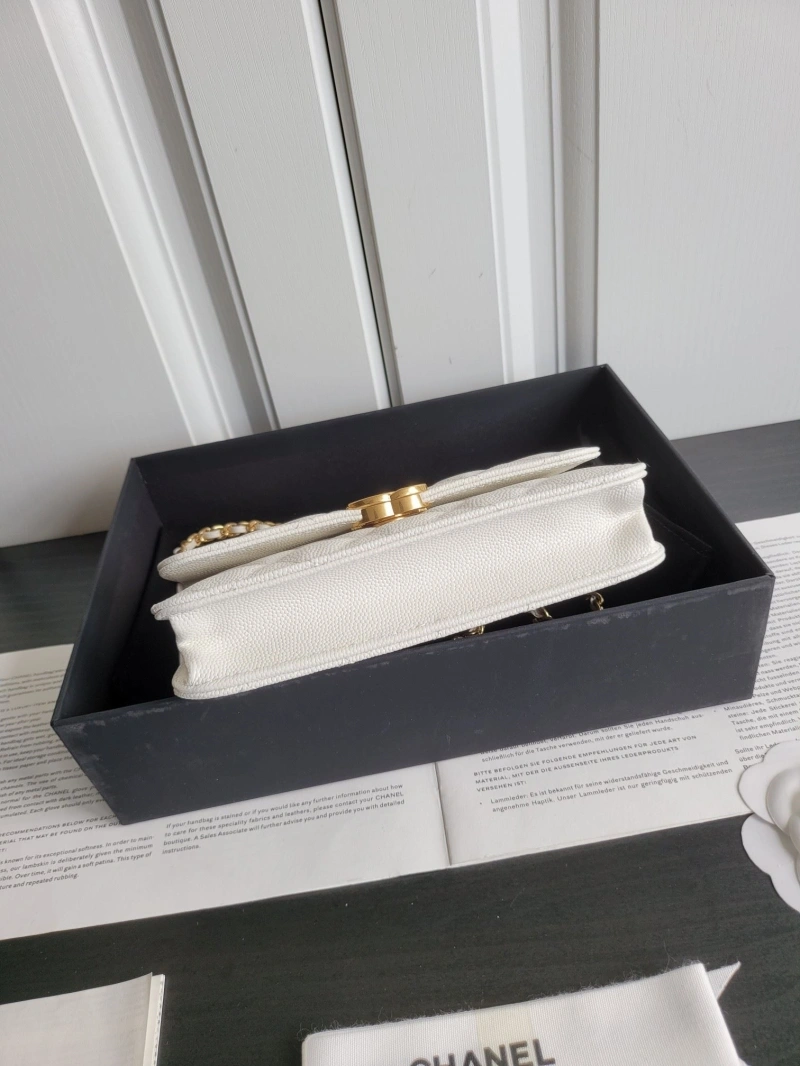 Chanel 19 Bags 4017-0410