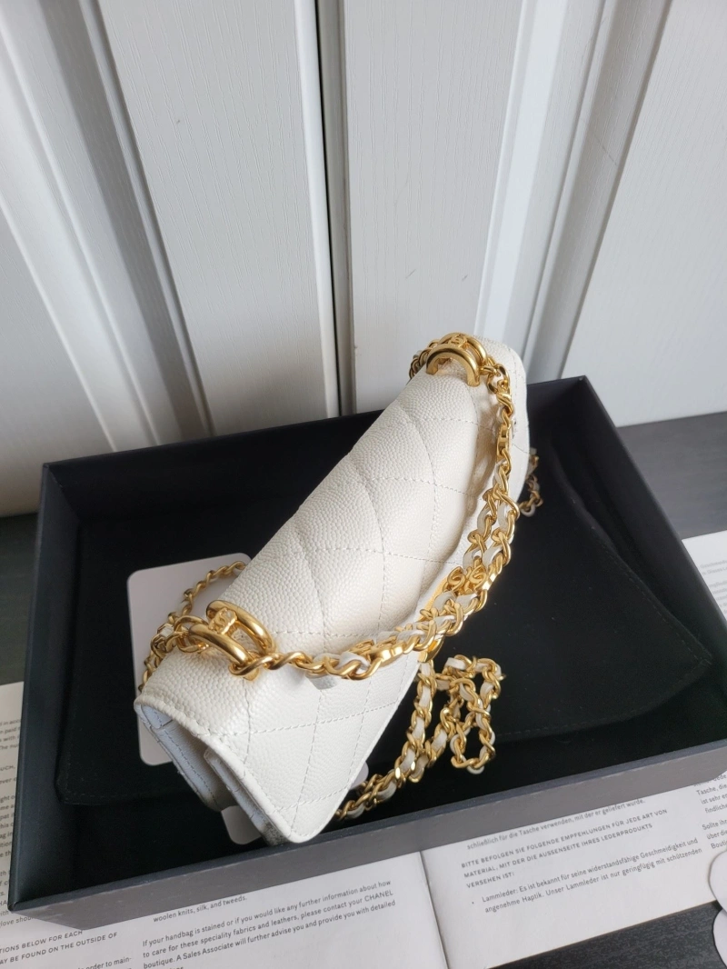 Chanel 19 Bags 4017-0410