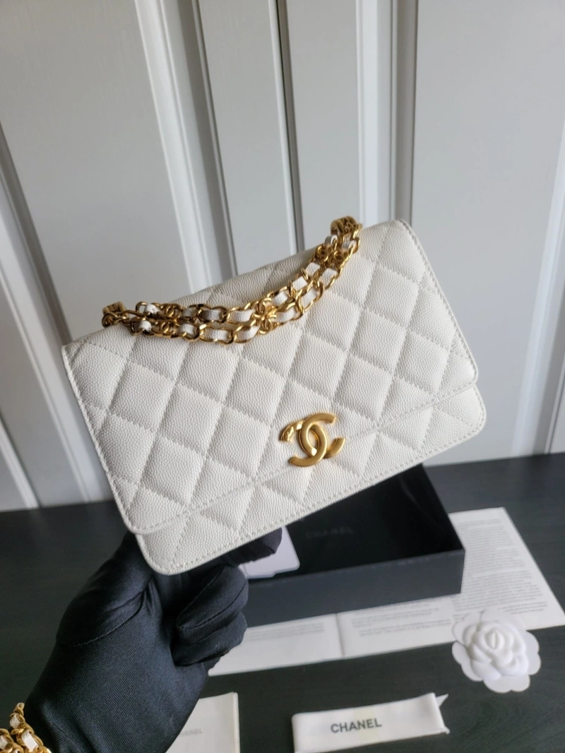 Chanel 19 Bags 4017-0411