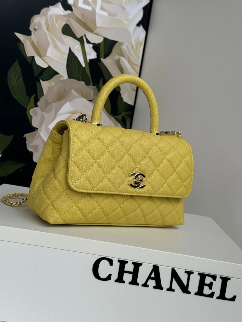 Chanel Top Handle Bags 4017-0418