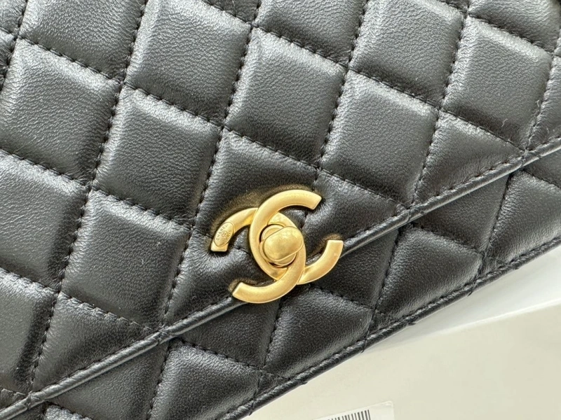 Chanel Satchel Bags 4017-0480