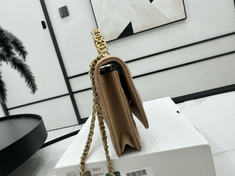 Chanel Satchel Bags 4017-0481