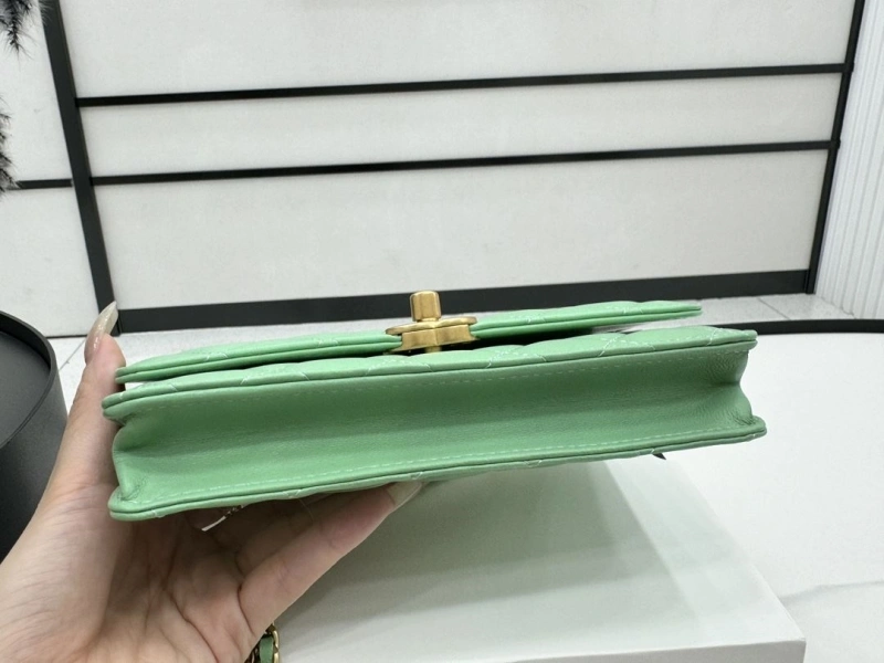 Chanel Satchel Bags 4017-0482