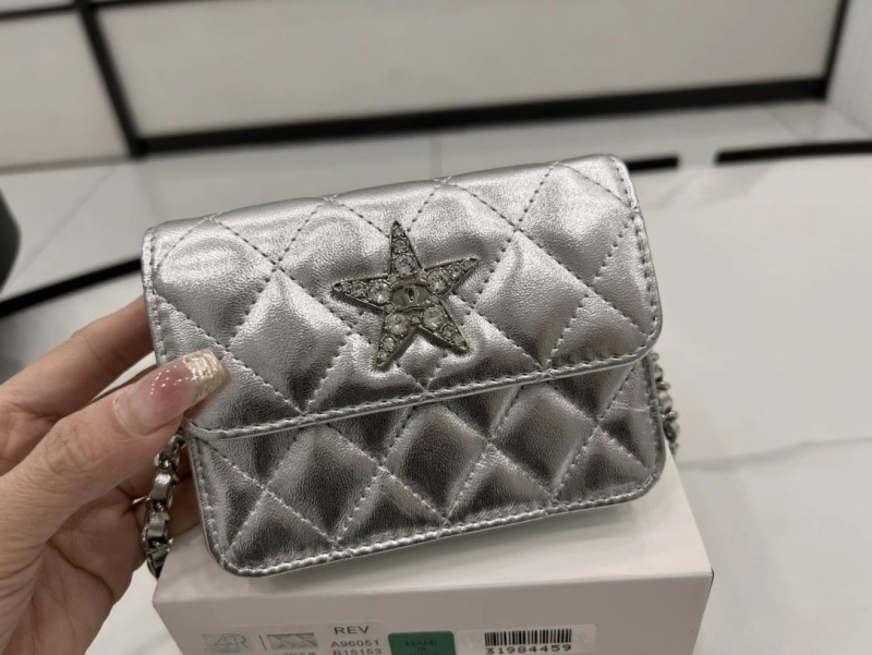 Chanel Satchel Bags 4017-0495