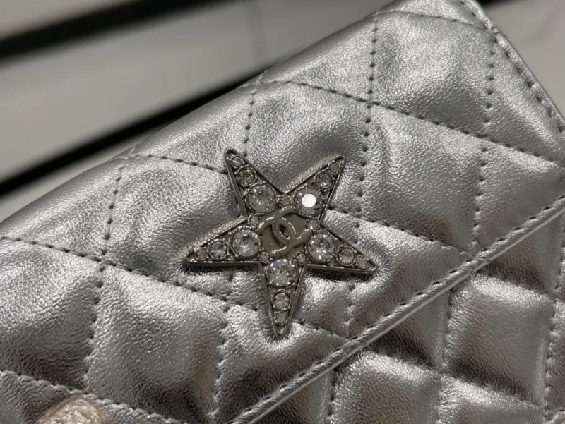 Chanel Satchel Bags 4017-0495