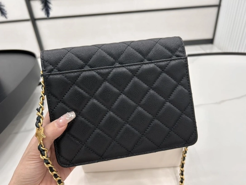 Chanel Satchel Bags 4017-0496