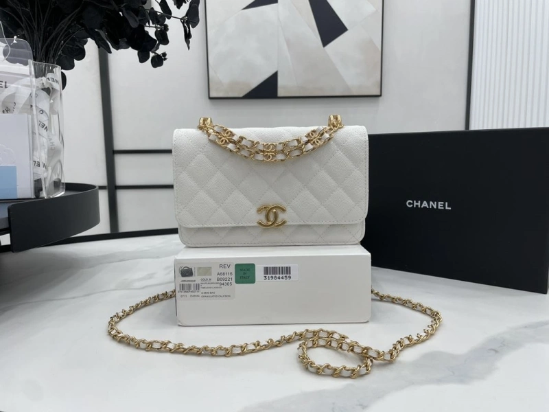 Chanel 19 Bags 4017-0507