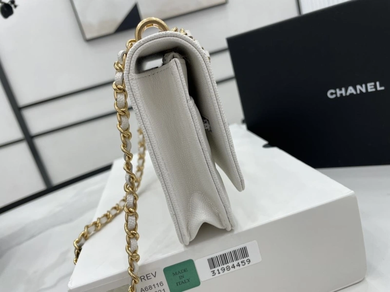 Chanel 19 Bags 4017-0507