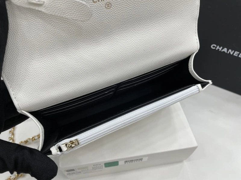 Chanel 19 Bags 4017-0507