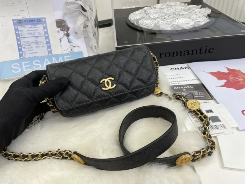 Chanel Satchel Bags 4017-0511