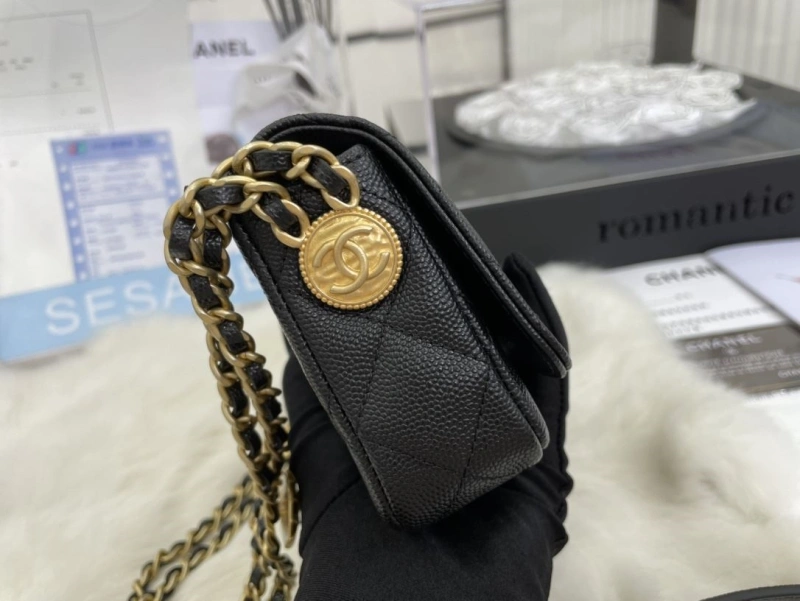 Chanel Satchel Bags 4017-0511