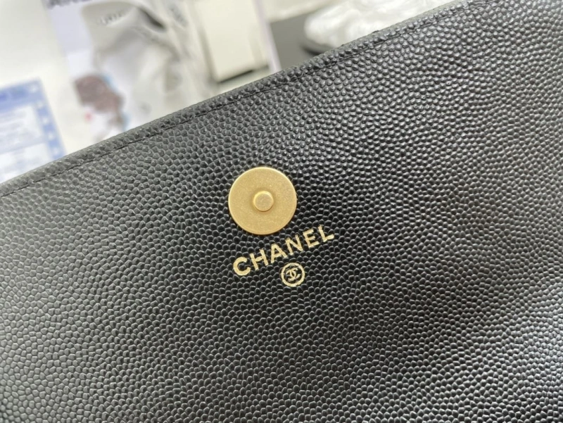 Chanel Satchel Bags 4017-0511