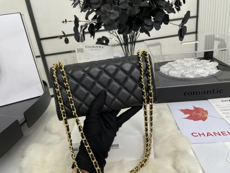 Chanel Satchel Bags 4017-0512