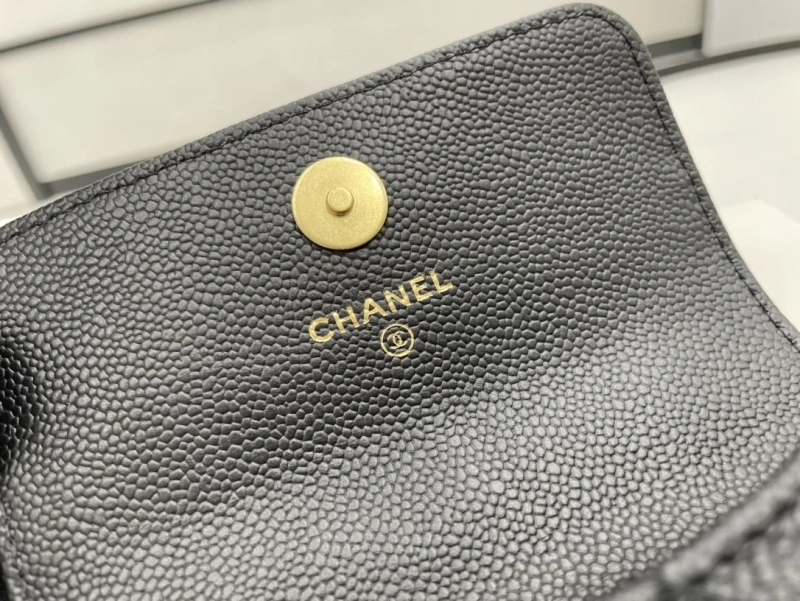 Chanel Satchel Bags 4017-0513