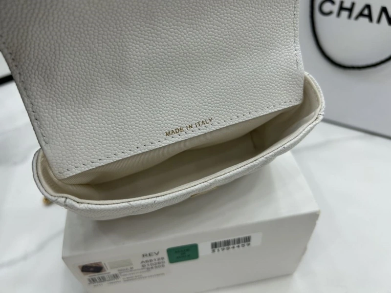 Chanel Satchel Bags 4017-0515