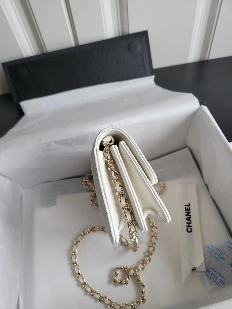 Chanel Satchel Bags 4017-0563