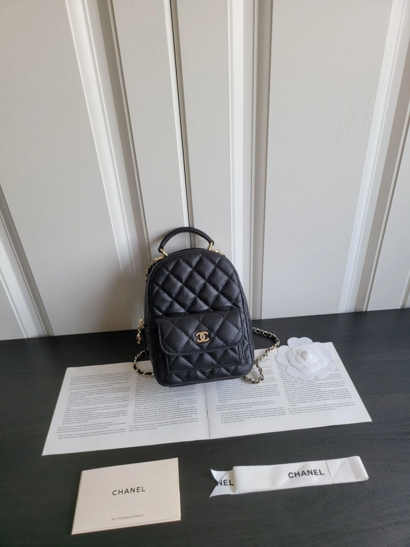 Chanel Satchel Bags 4017-0567
