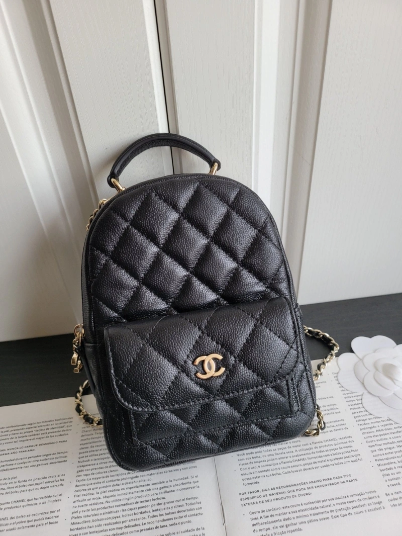 Chanel Satchel Bags 4017-0567