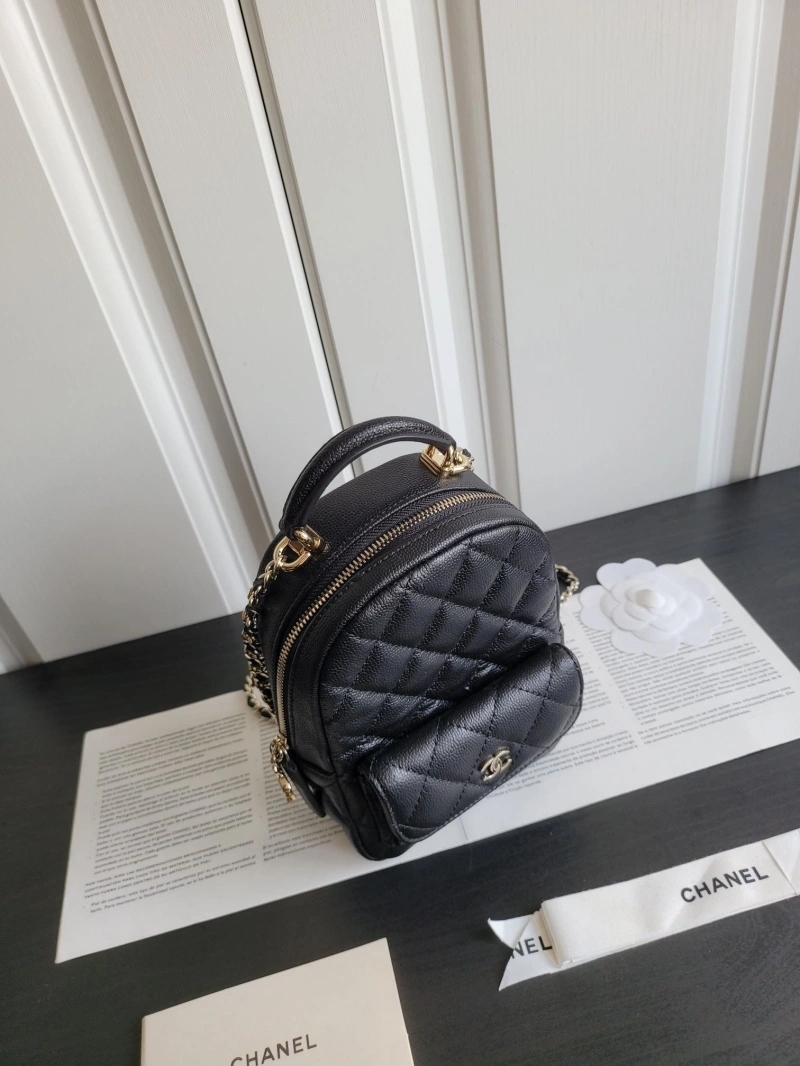 Chanel Satchel Bags 4017-0567