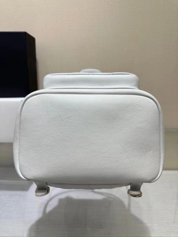 Chanel Backpacks 4017-0584