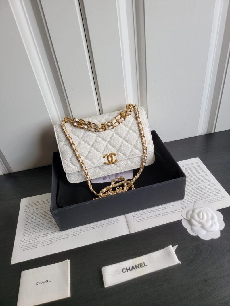 Chanel 19 Bags 4017-0747