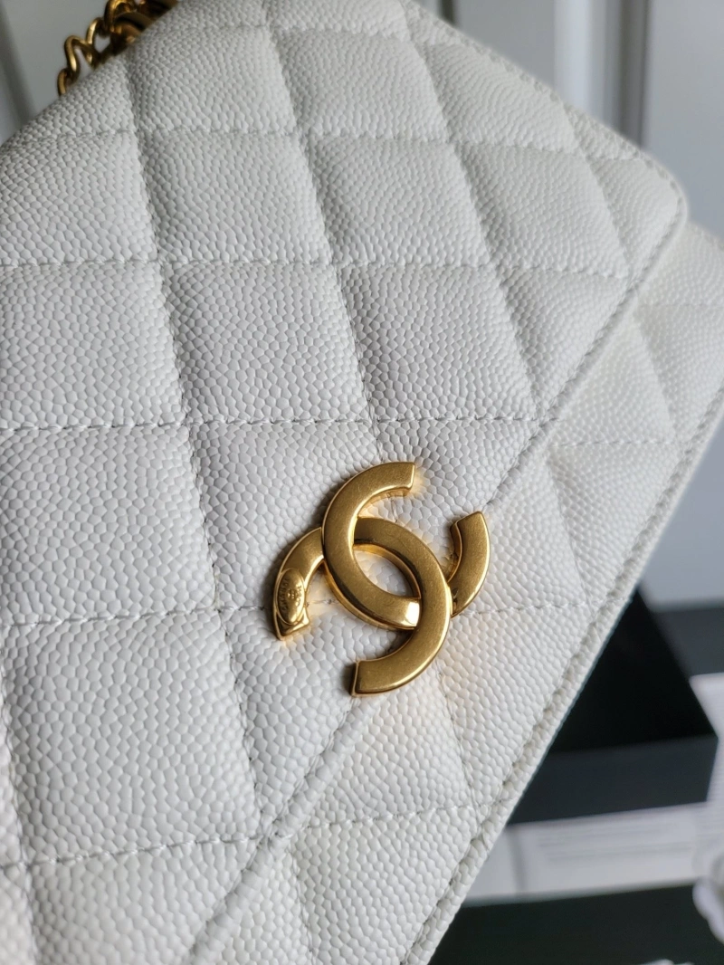 Chanel 19 Bags 4017-0747