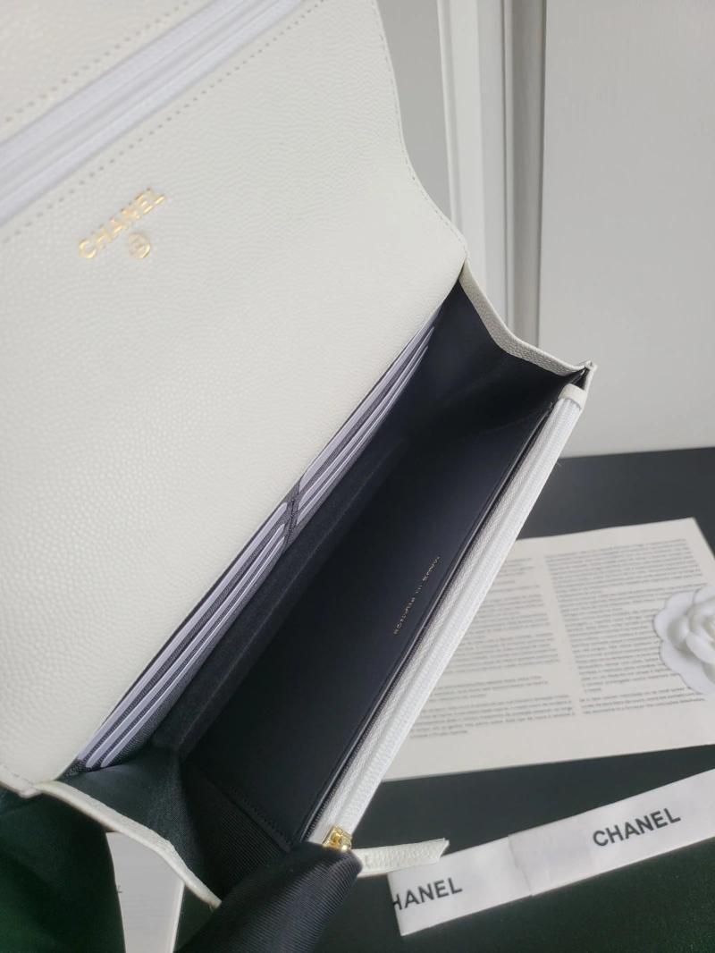 Chanel 19 Bags 4017-0747