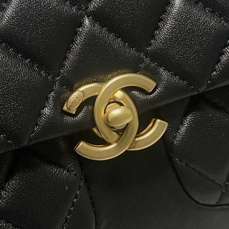 Chanel 19 Bags 4017-0748