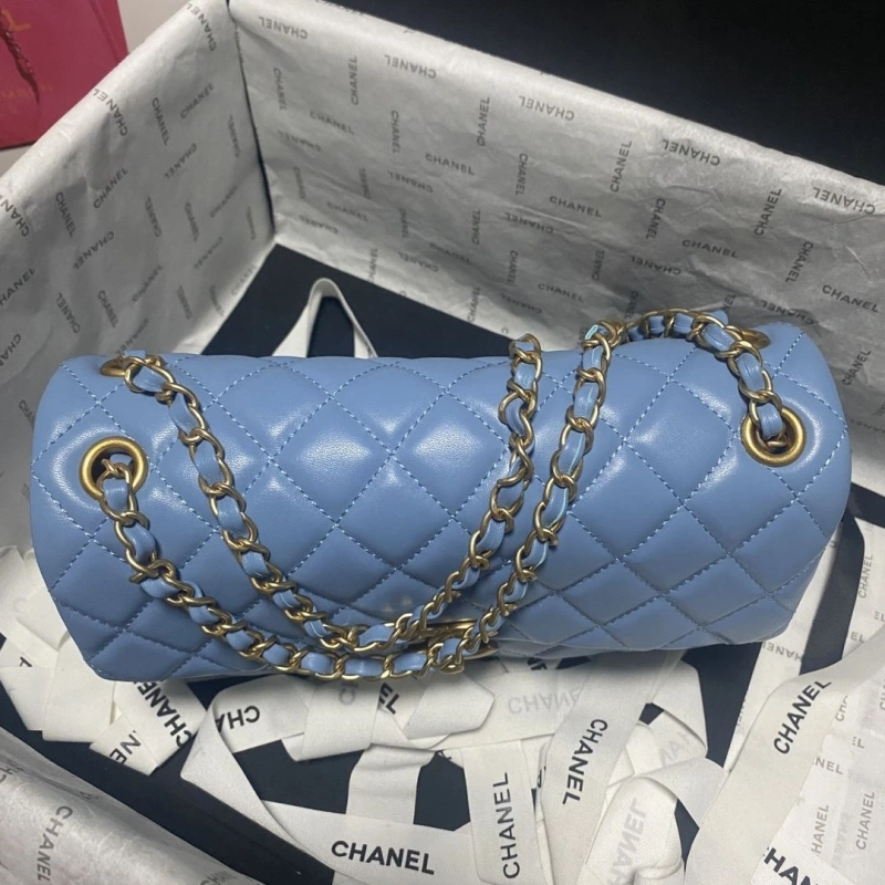 Chanel 19 Bags 4017-0749