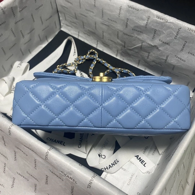 Chanel 19 Bags 4017-0749