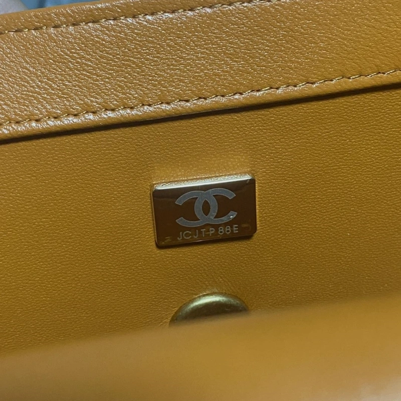 Chanel 19 Bags 4017-0750