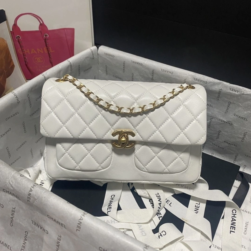 Chanel 19 Bags 4017-0751